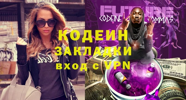 гашик Вяземский