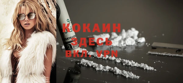 прущие грибы Вязники