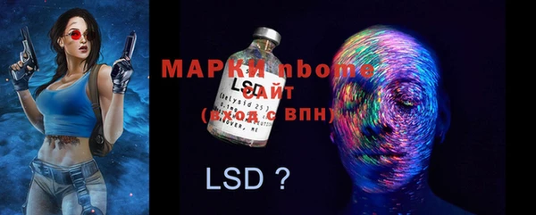 гашик Вяземский