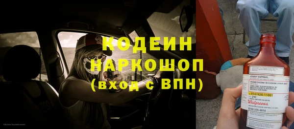 прущие грибы Вязники