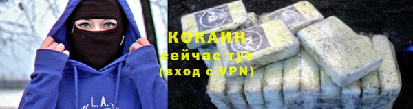 гашик Вяземский