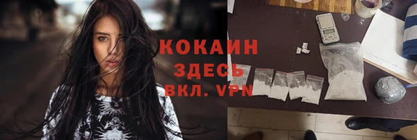 гашик Вяземский