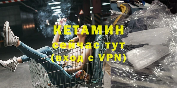 гашик Вяземский