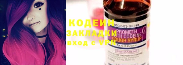 прущие грибы Вязники
