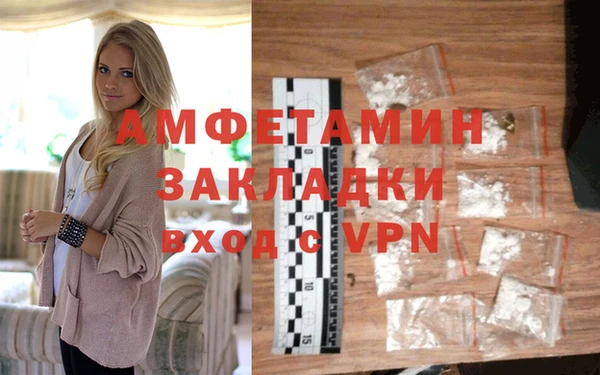 прущие грибы Вязники