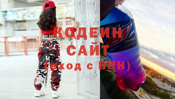 прущие грибы Вязники