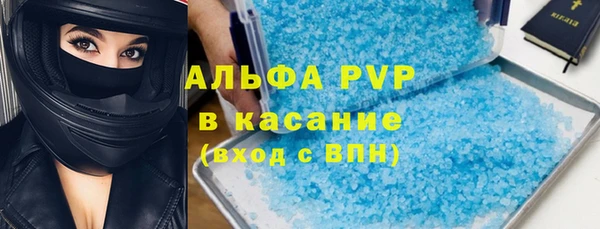 прущие грибы Вязники