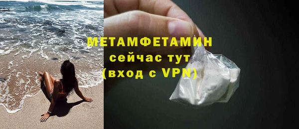 прущие грибы Вязники