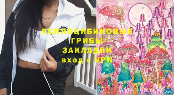гашик Вяземский